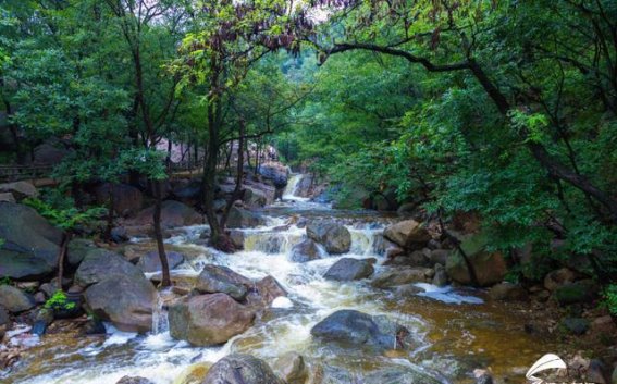 雨后蒙山：如梦如幻的山水诗篇