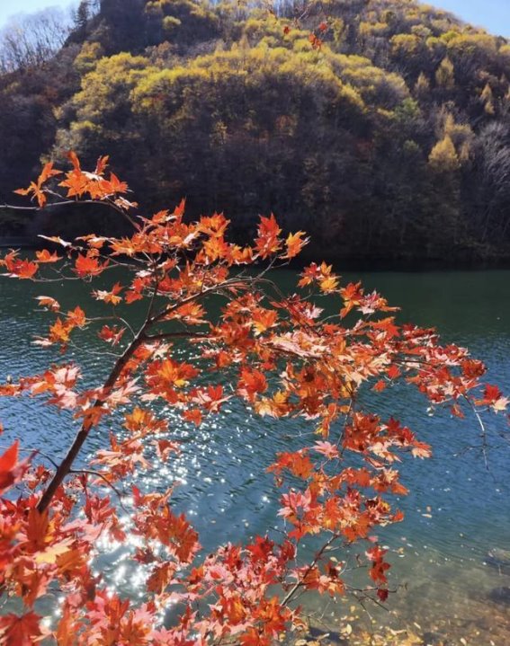 丹东秋日游：千元畅游边境小城，海鲜水果与美丽秋景的完美邂逅