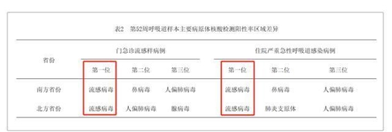 流感高发季节：如何识别与科学防治