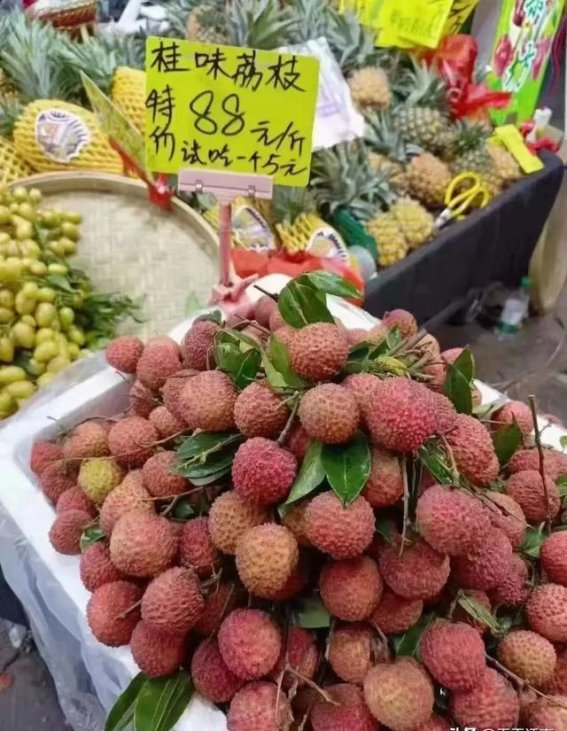 夏至食不果，荔枝狗肉价格“火”到天际！